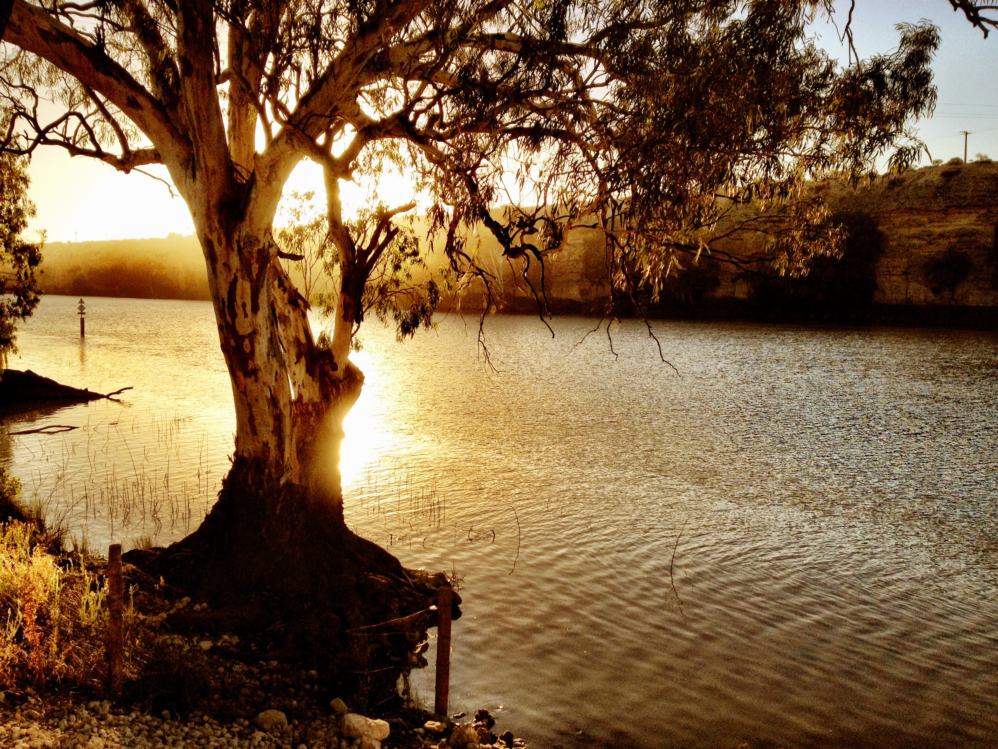 Download mobile wallpaper Earth, River, Murray River for free.