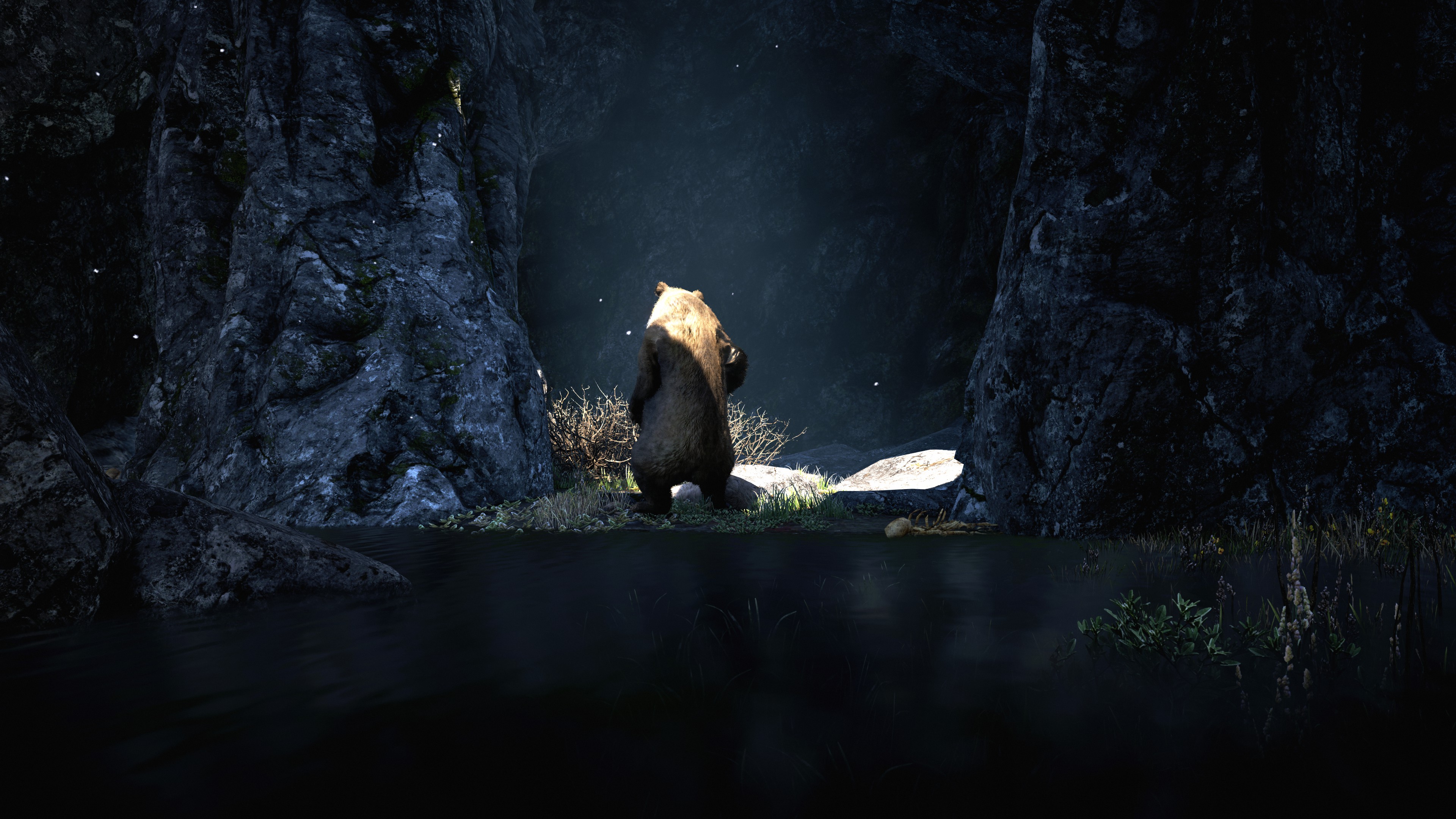 Free download wallpaper Bear, Video Game, Far Cry, Far Cry 4 on your PC desktop