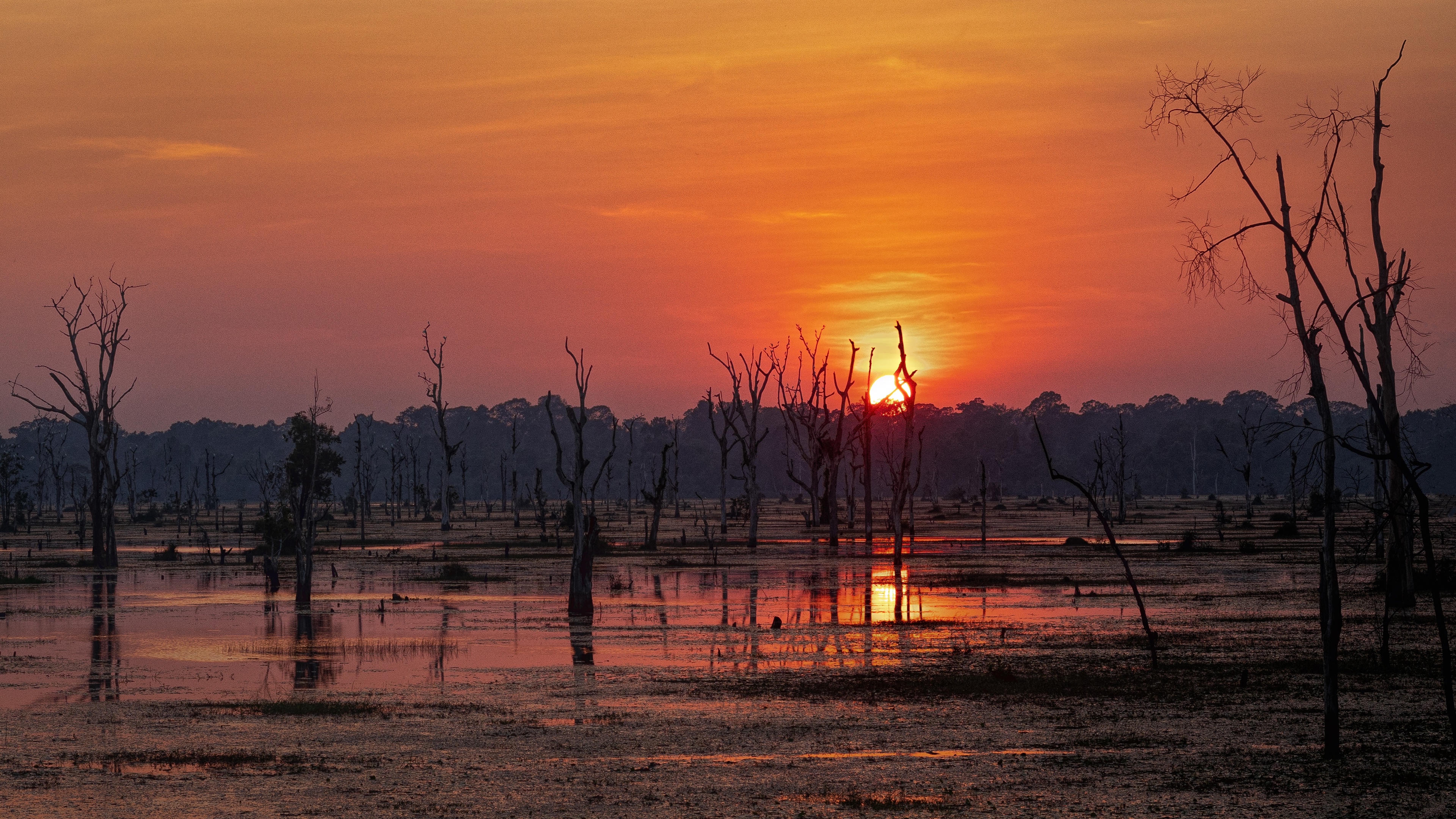 Download mobile wallpaper Sunset, Swamp, Lake, Fog, Earth for free.
