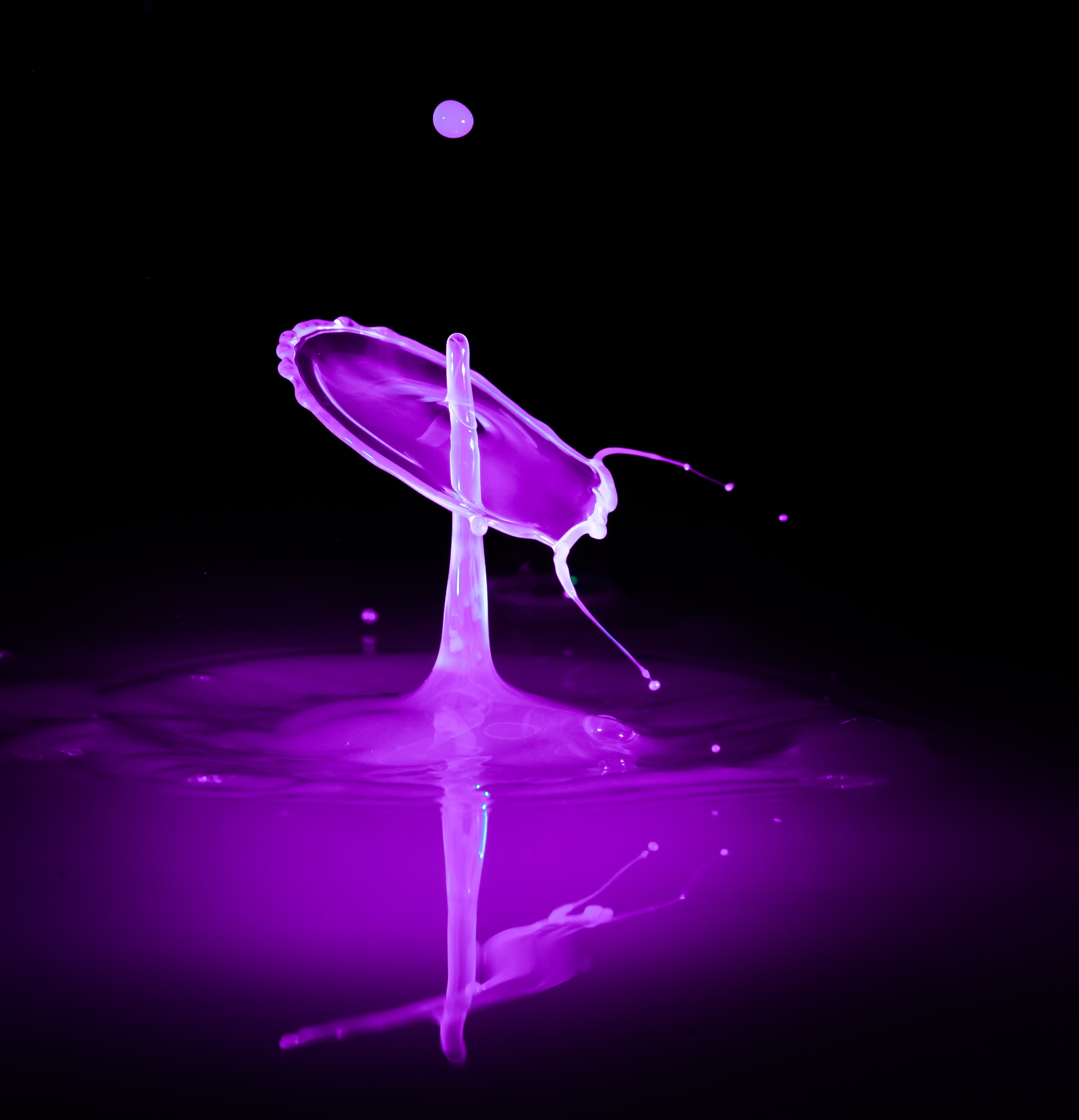 153546 descargar imagen púrpura, violeta, drops, macro, rociar, chapoteo, salpicar, líquido: fondos de pantalla y protectores de pantalla gratis