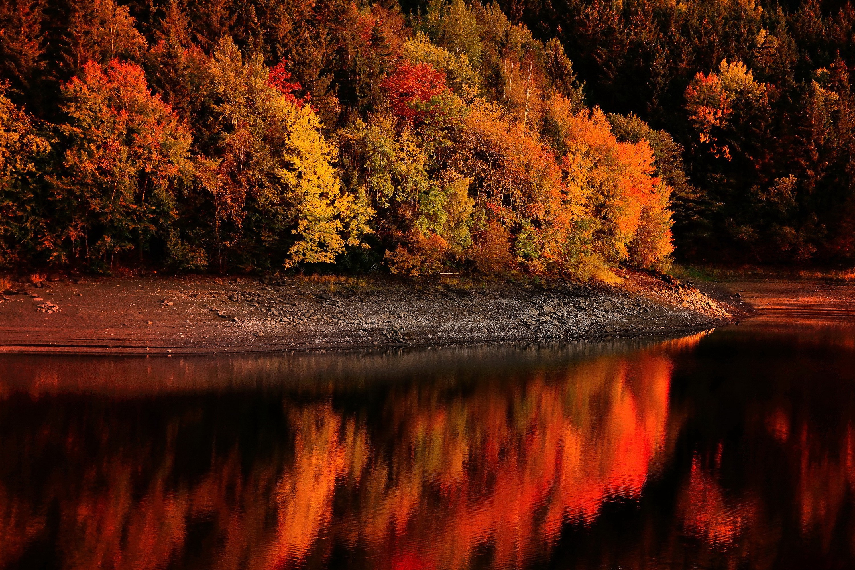 Descarga gratuita de fondo de pantalla para móvil de Otoño, Rio, Bosque, Tierra/naturaleza.