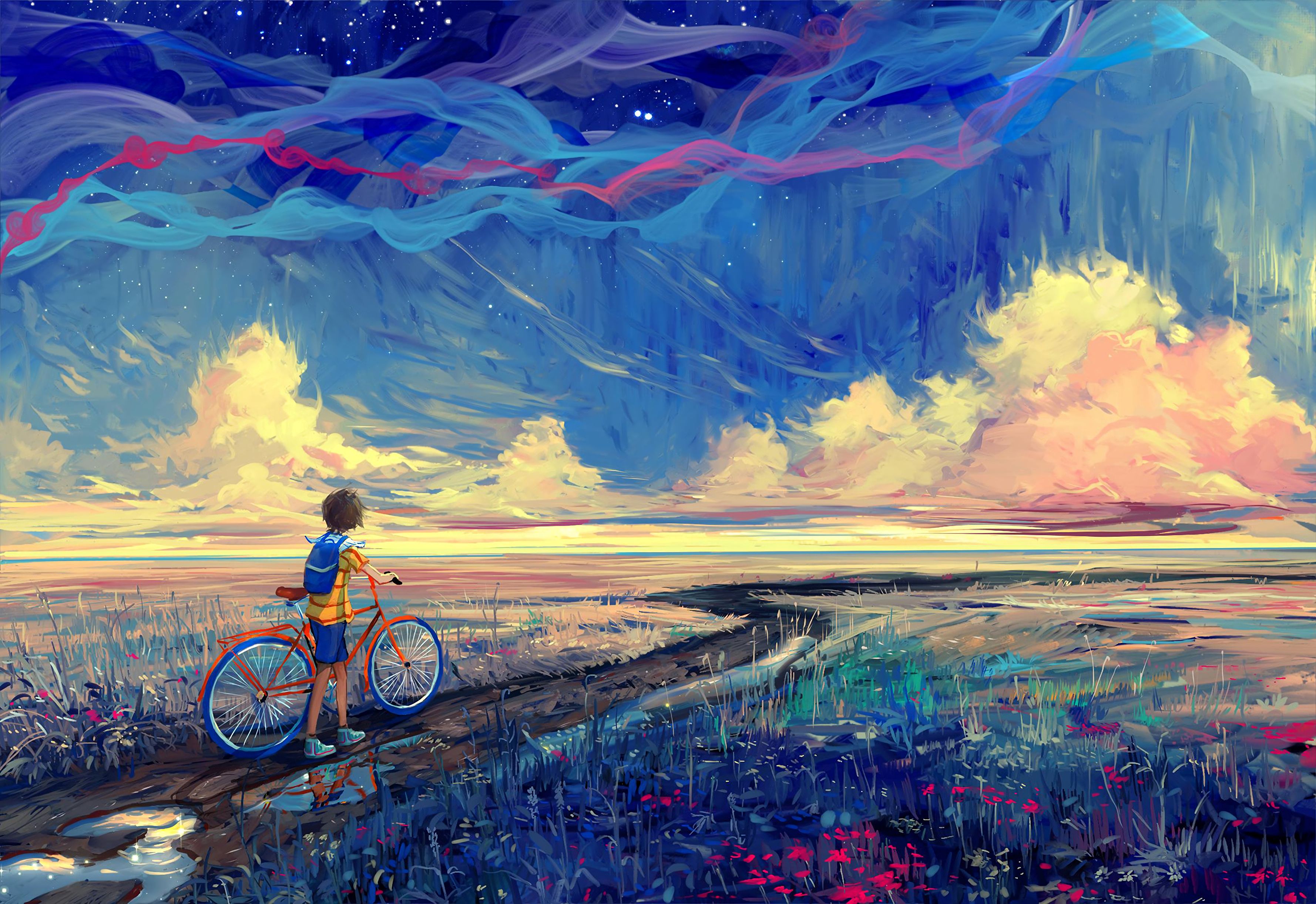 Cyclist Panoramic Wallpapers
