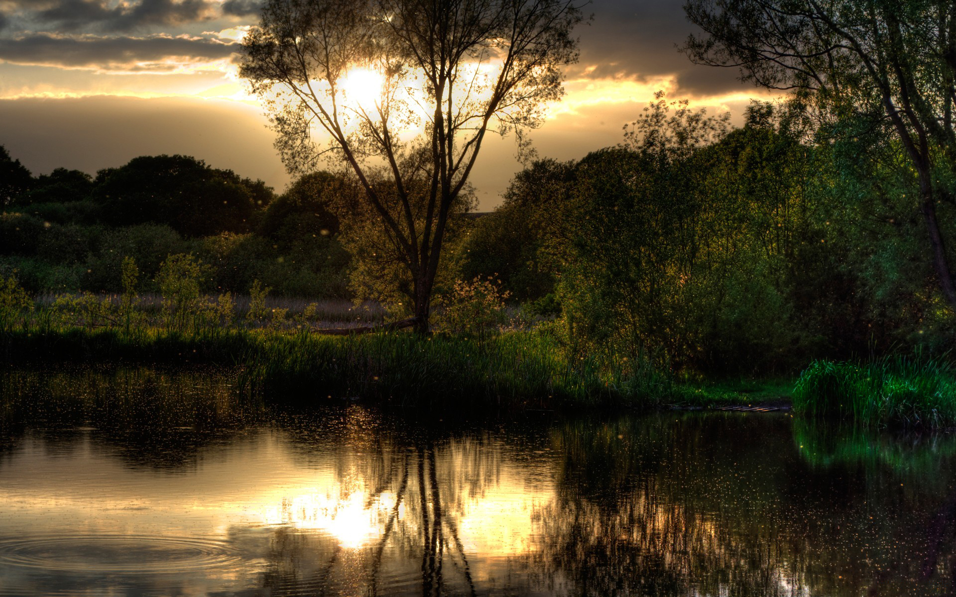 PCデスクトップに風景, 川, 木, 日没画像を無料でダウンロード