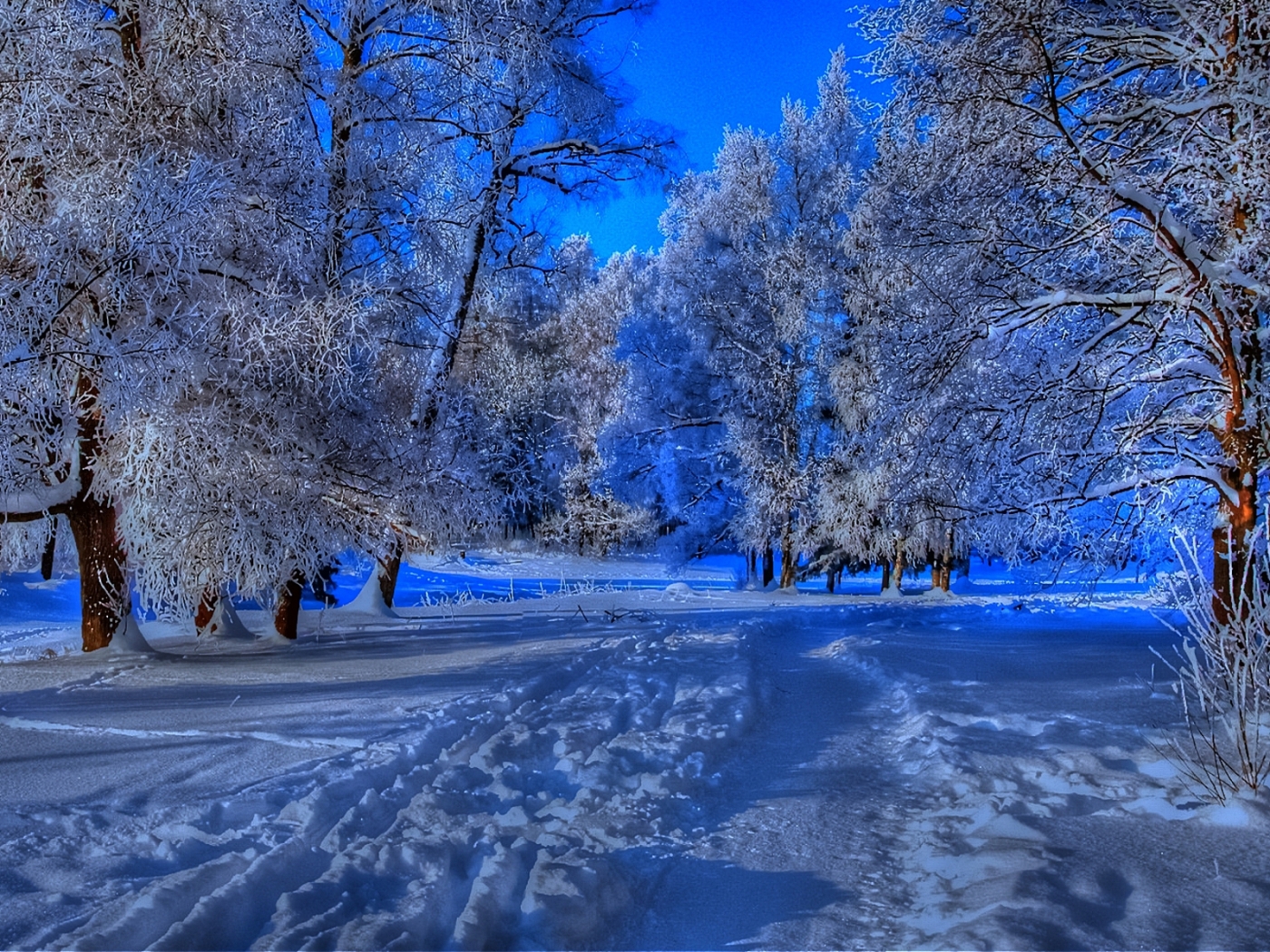 snow, landscape, winter, blue 4K
