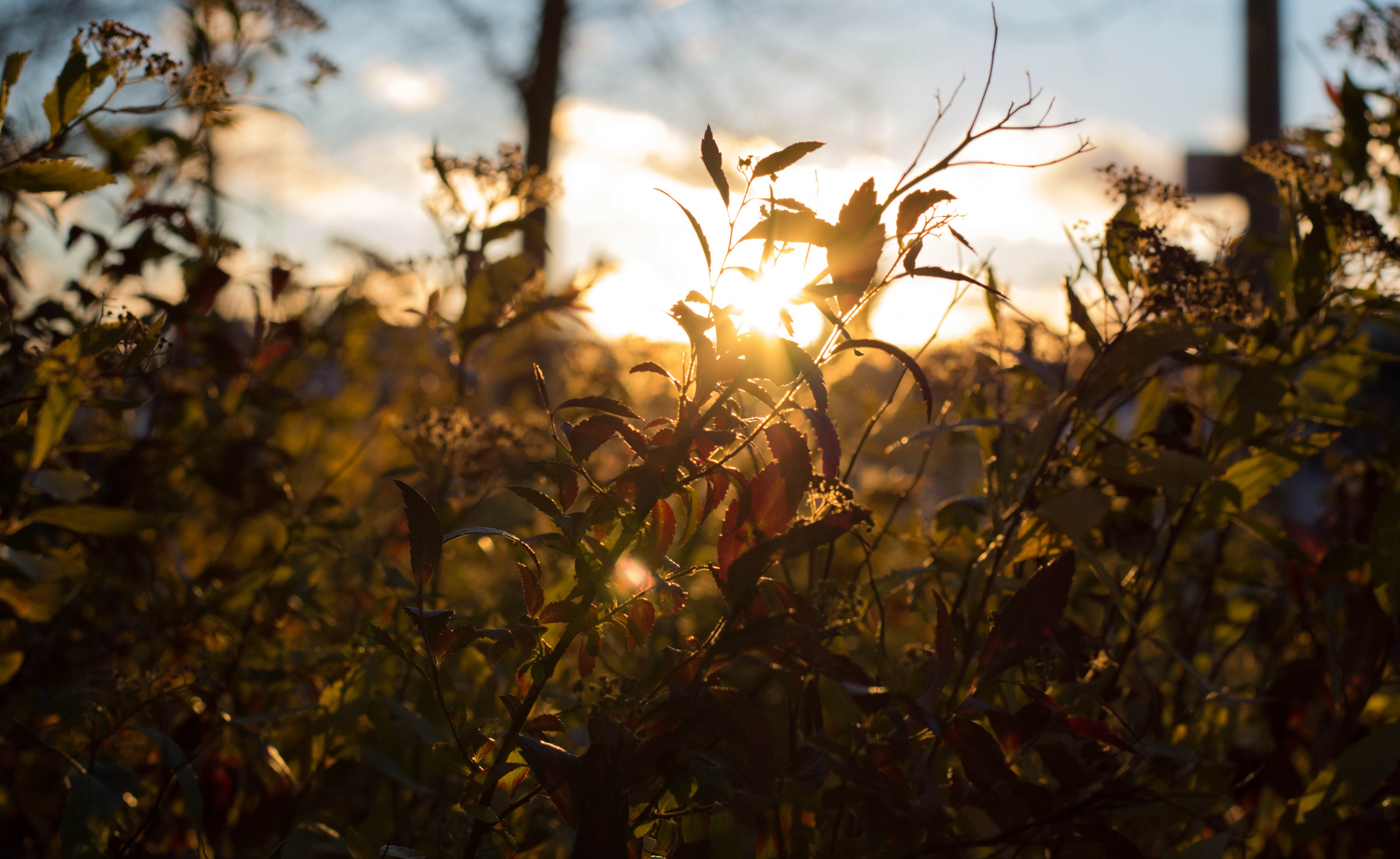 Téléchargez gratuitement l'image Coucher De Soleil, Terre/nature sur le bureau de votre PC