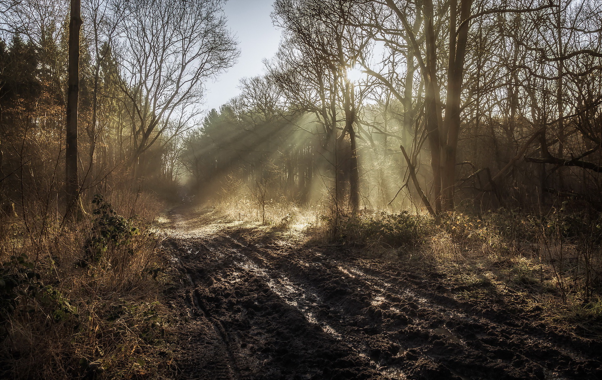 Free download wallpaper Nature, Forest, Earth, Path, Morning, Sunbeam on your PC desktop