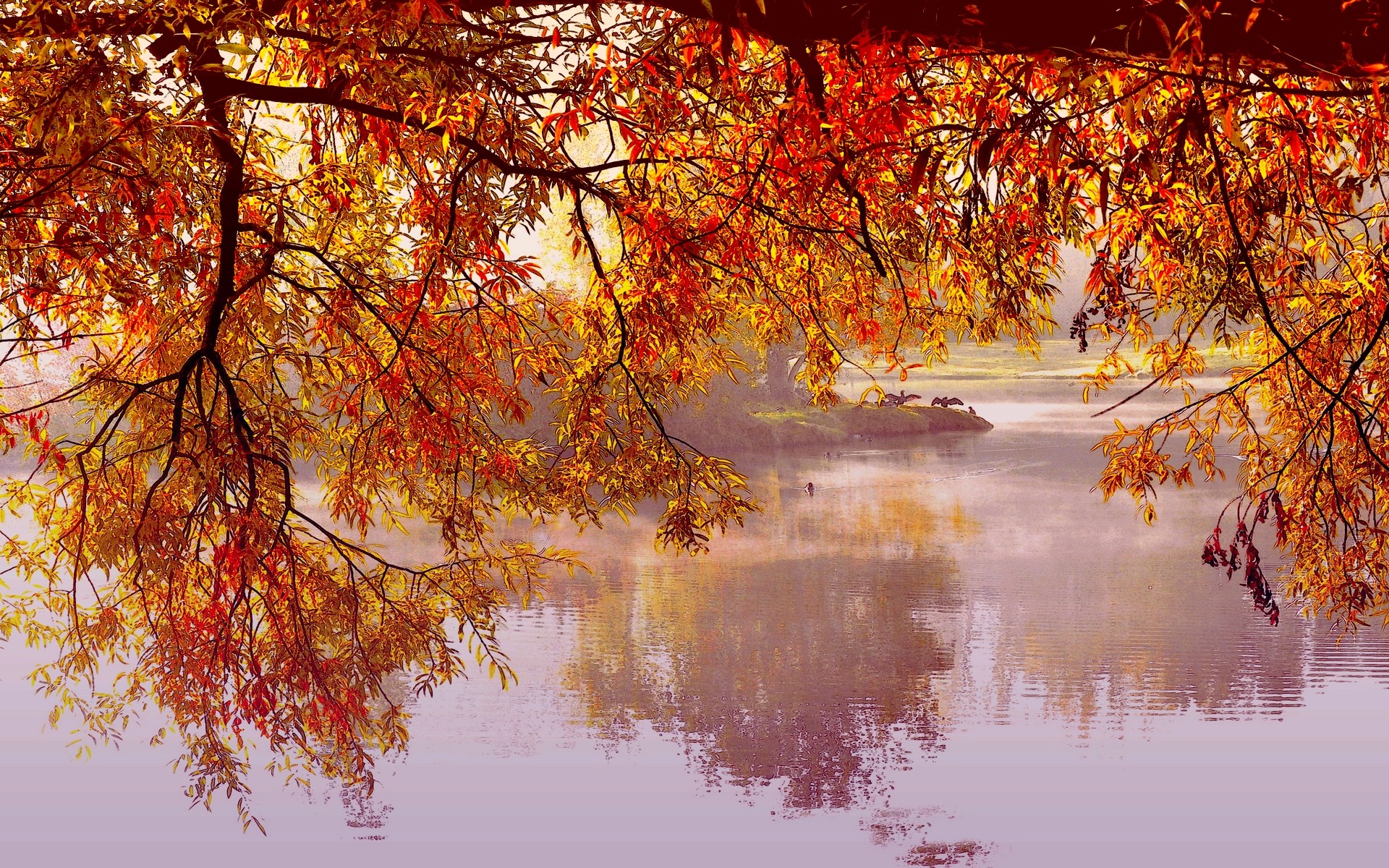 Download mobile wallpaper Leaf, Fall, Branch, Earth, Pond for free.