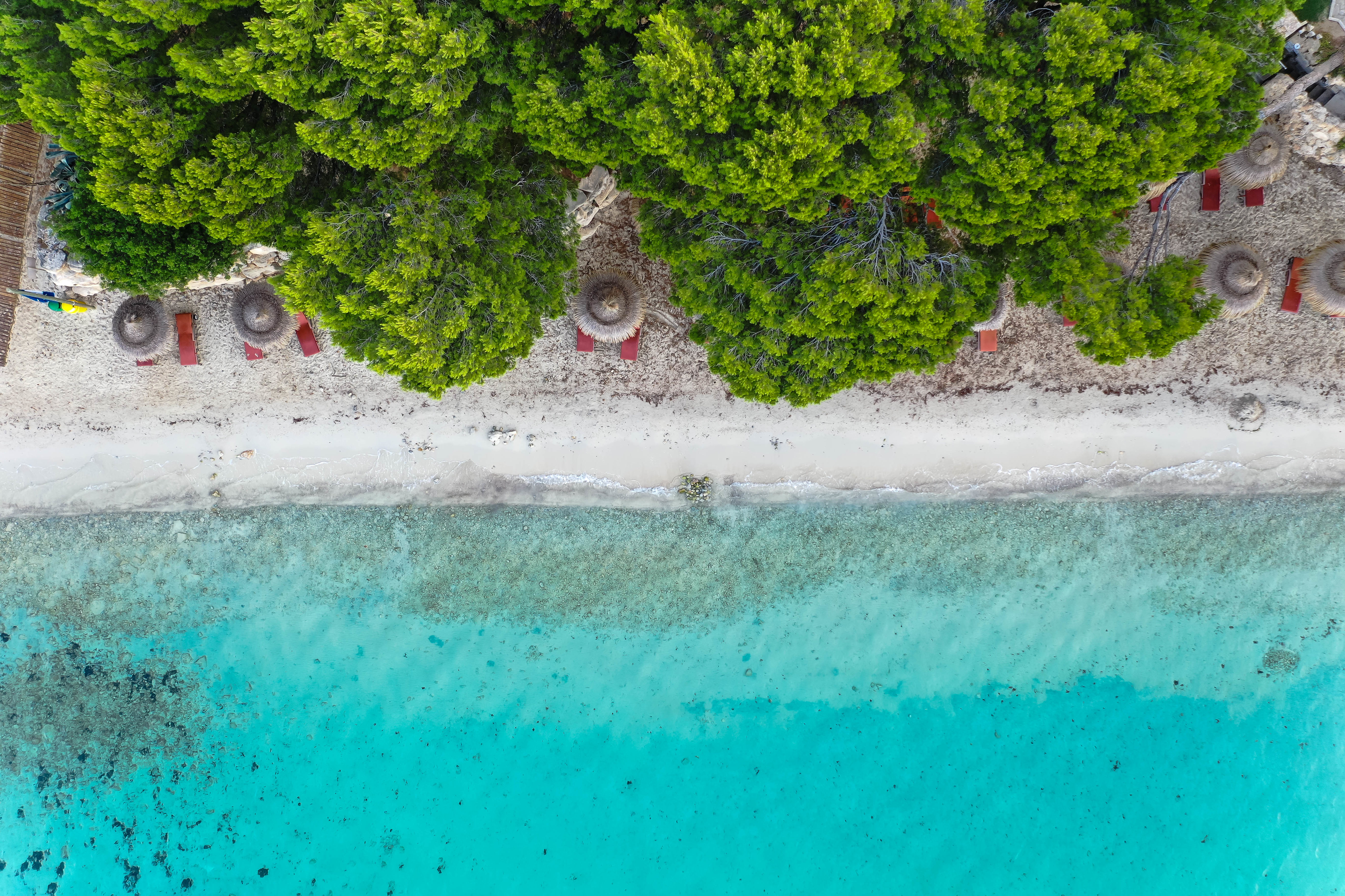 view from above, nature, trees, sea, beach, umbrella