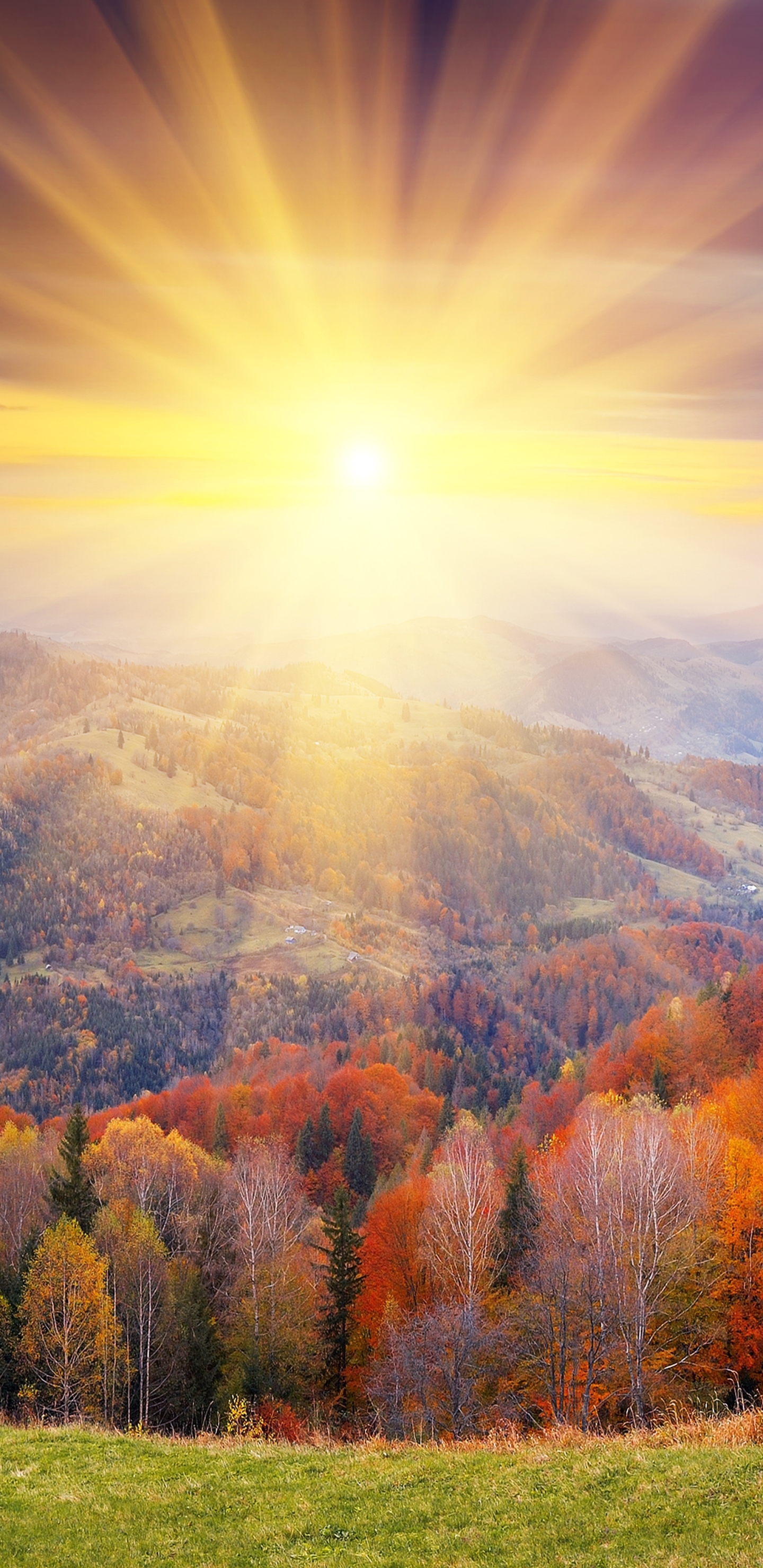 Download mobile wallpaper Landscape, Nature, Sun, Forest, Fall, Sunrise, Earth, Sunbeam, Sunbean for free.