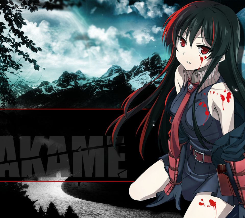 Free download wallpaper Anime, Moon, Blood, Akame (Akame Ga Kill!), Akame Ga Kill! on your PC desktop