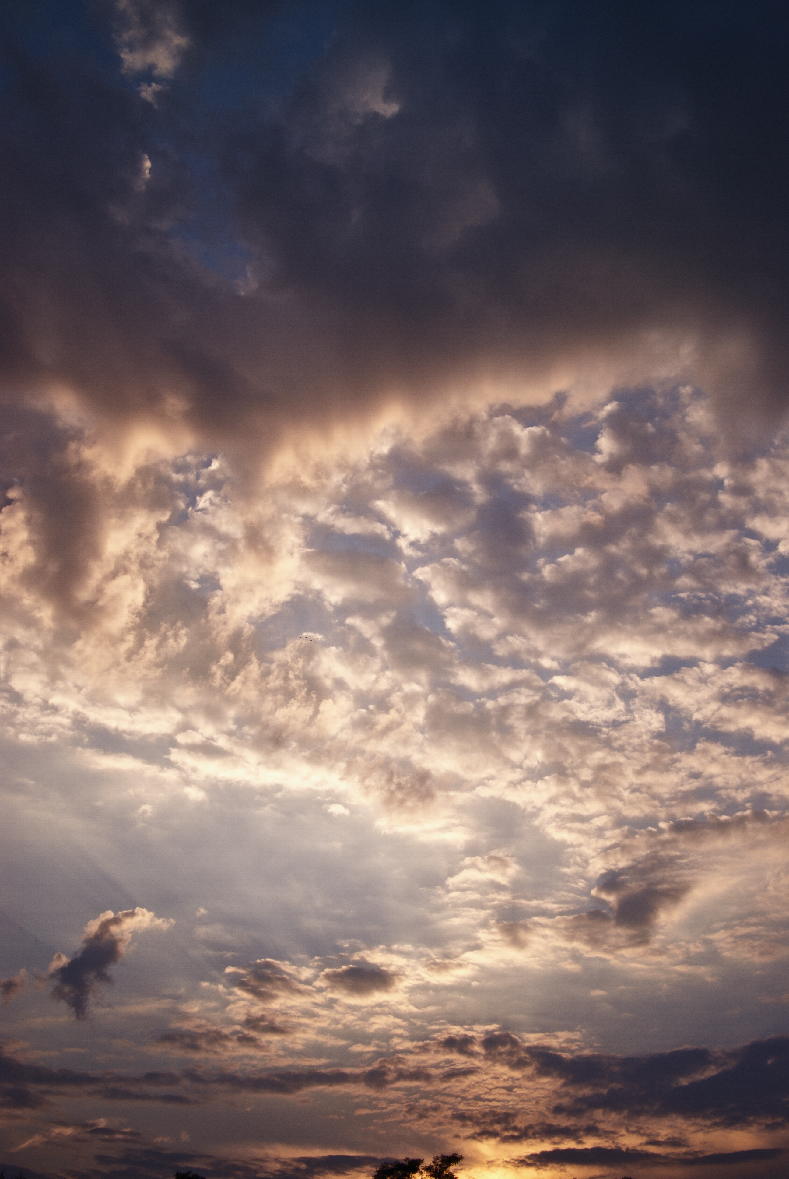clouds, nature, sunset, sky, evening, cloudy cellphone