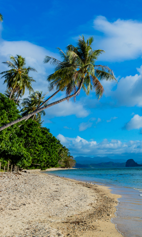Скачать картинку Природа, Пляж, Песок, Пальмы, Океан, Пальма, Тропики, Филиппины, Земля/природа в телефон бесплатно.
