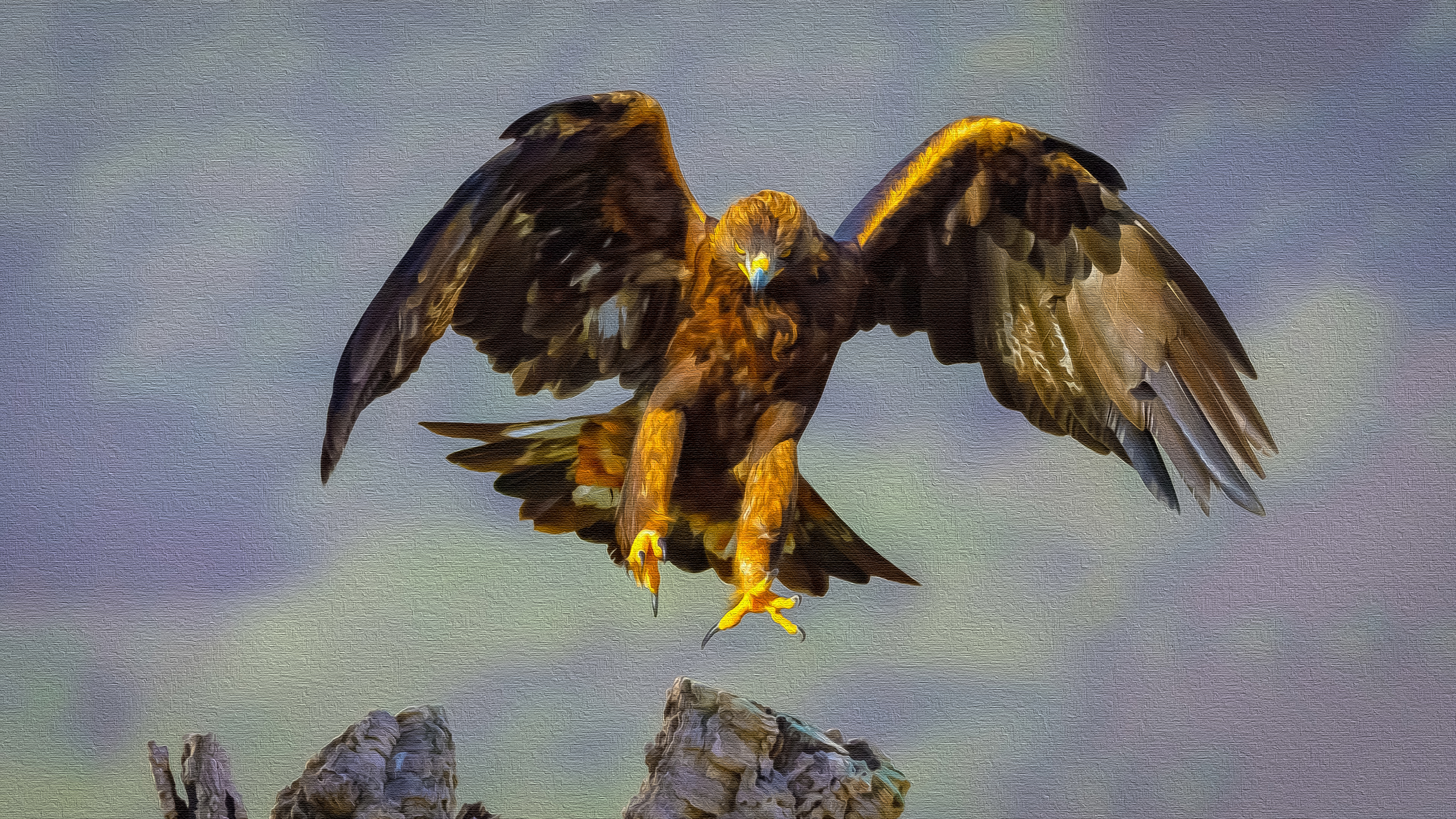 475151 descargar fondo de pantalla águila real, animales, ave, aves: protectores de pantalla e imágenes gratis