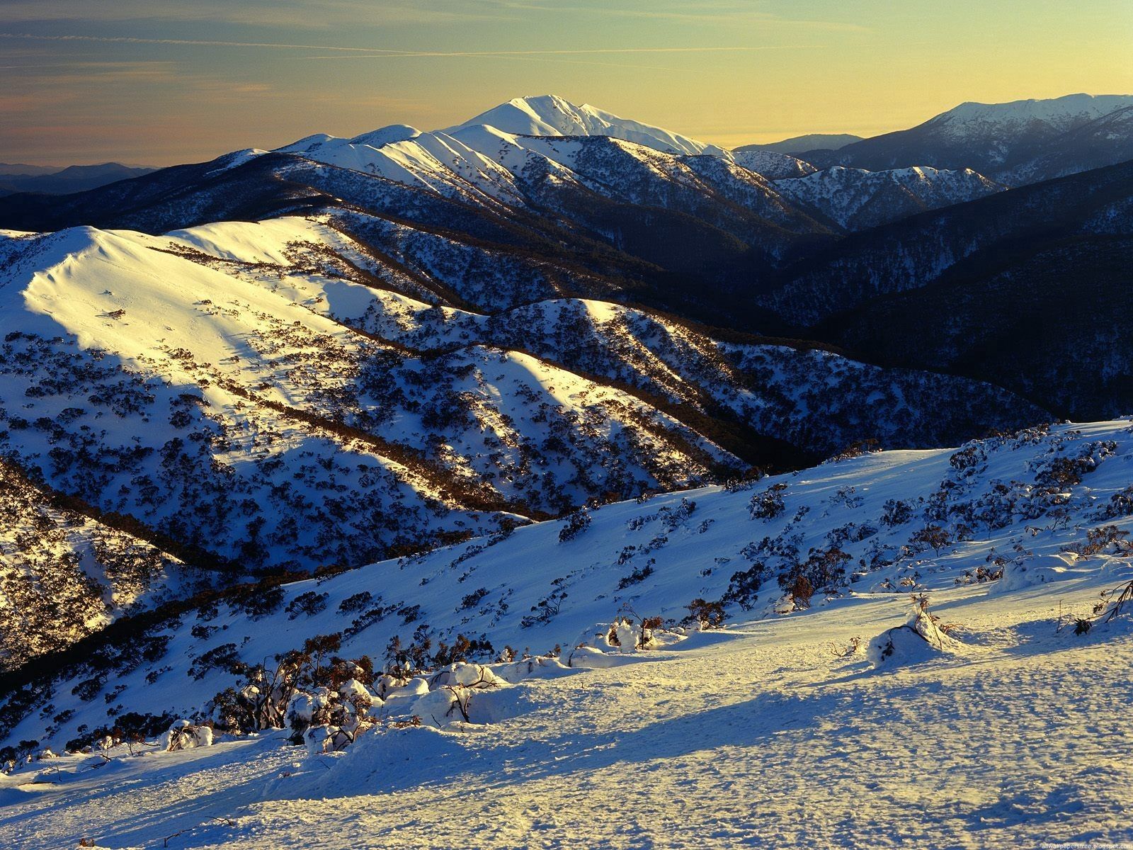 Descarga gratis la imagen Naturaleza, Montañas, Nieve, Vegetación, Pendientes, Laderas, Australia en el escritorio de tu PC
