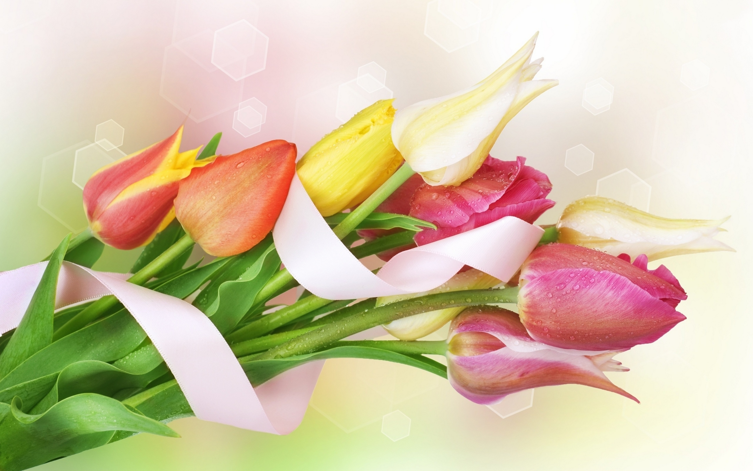 Download mobile wallpaper Flowers, Flower, Close Up, Earth, Tulip, Ribbon, Water Drop for free.