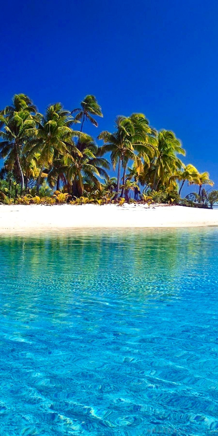 Baixar papel de parede para celular de Mar, Praia, Verão, Palmeira, Ilha, Tropical, Terra/natureza gratuito.
