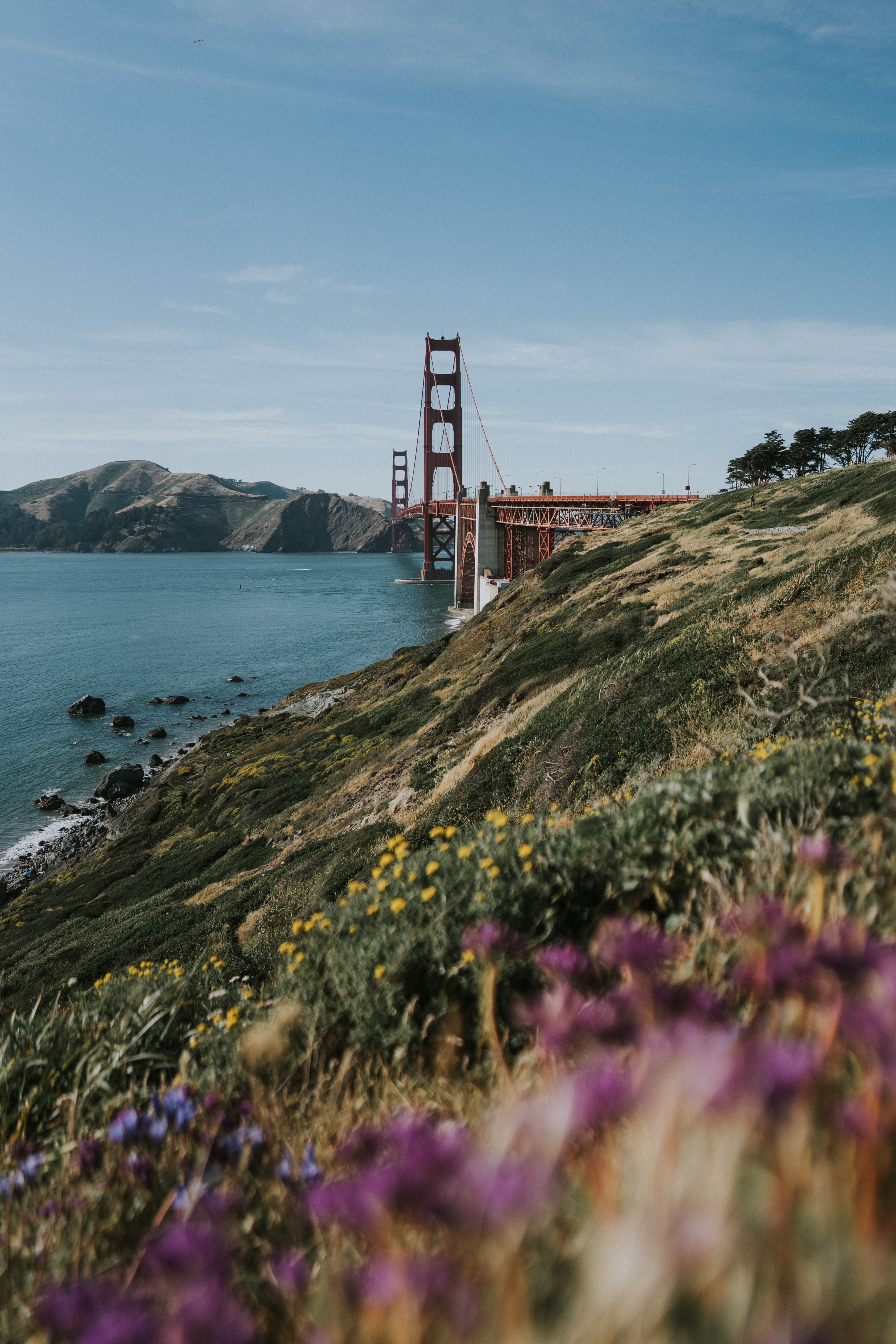 san francisco, cities, water, coast, hills, bridge for android