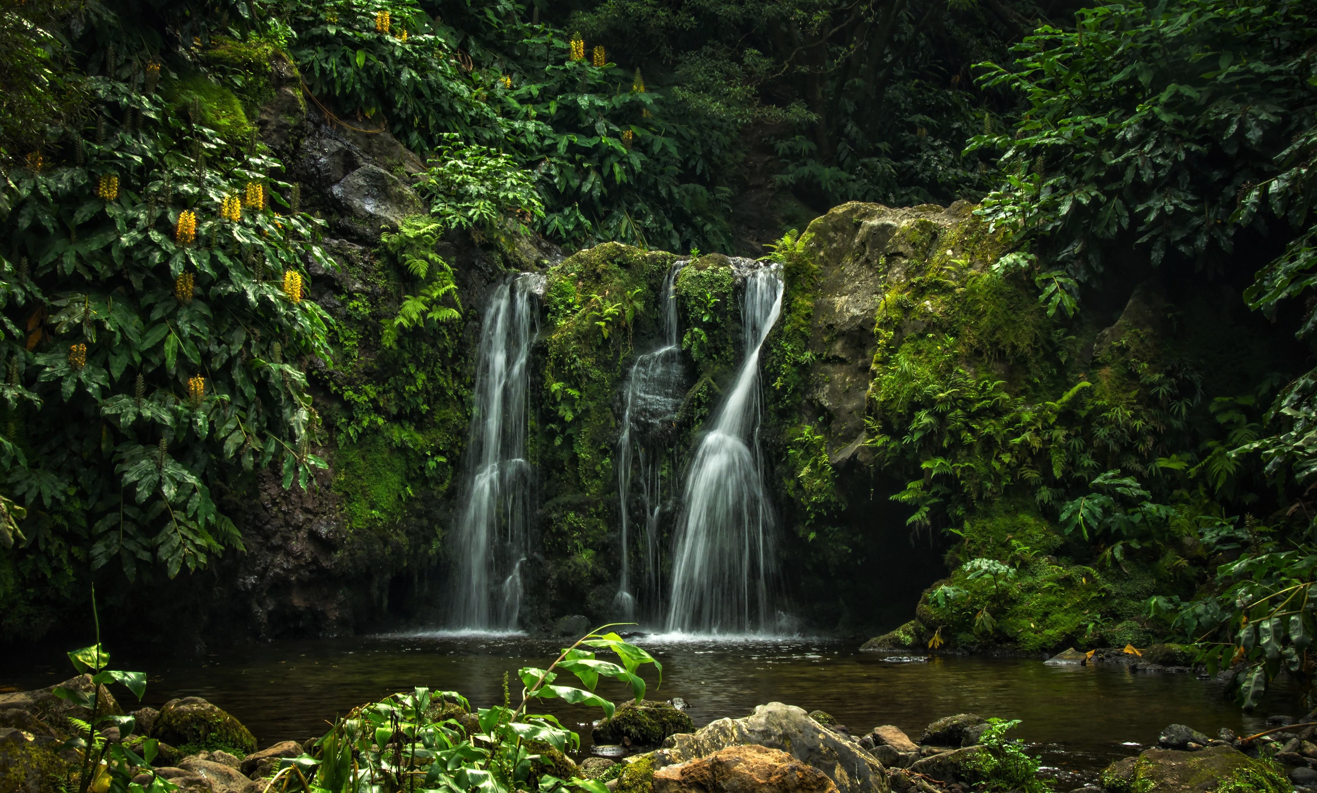 Handy-Wallpaper Wasserfälle, Wasserfall, Wald, Portugal, Azoren, Erde/natur kostenlos herunterladen.