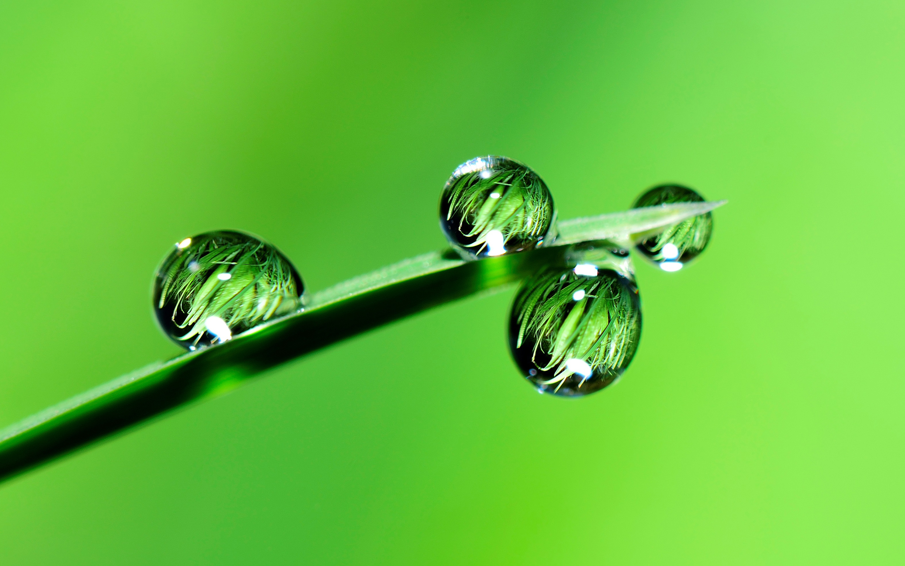 Download mobile wallpaper Grass, Reflection, Macro, Earth, Water Drop for free.